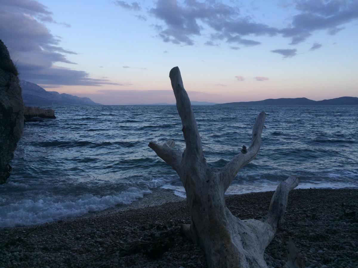 Hostel Dalmatia Marusici  Zewnętrze zdjęcie