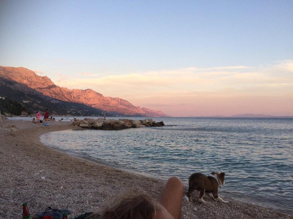 Hostel Dalmatia Marusici  Zewnętrze zdjęcie