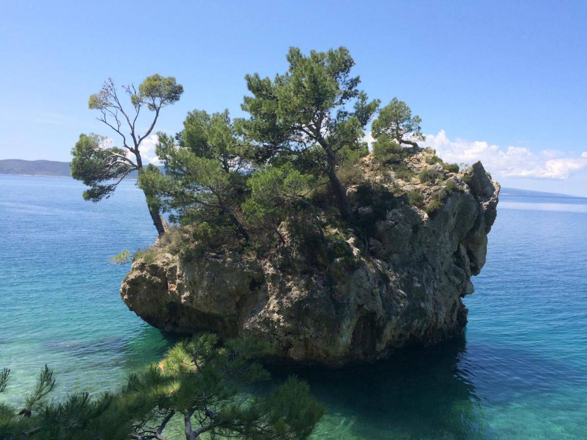 Hostel Dalmatia Marusici  Zewnętrze zdjęcie