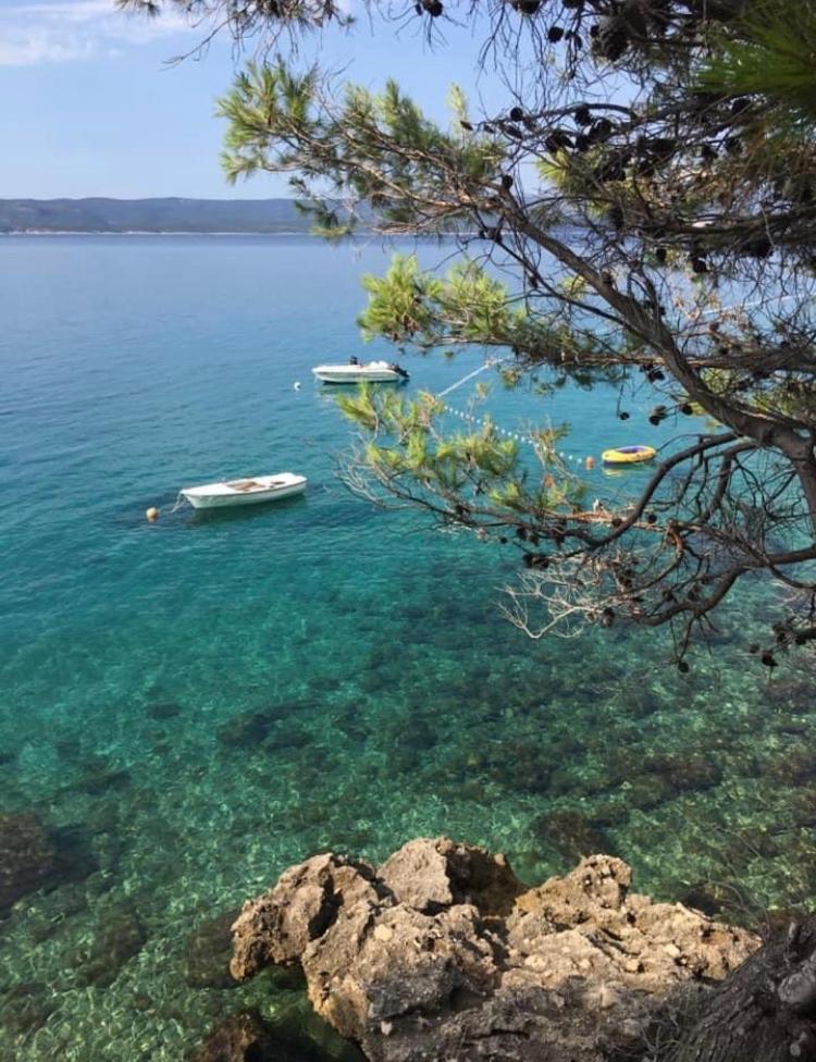Hostel Dalmatia Marusici  Zewnętrze zdjęcie